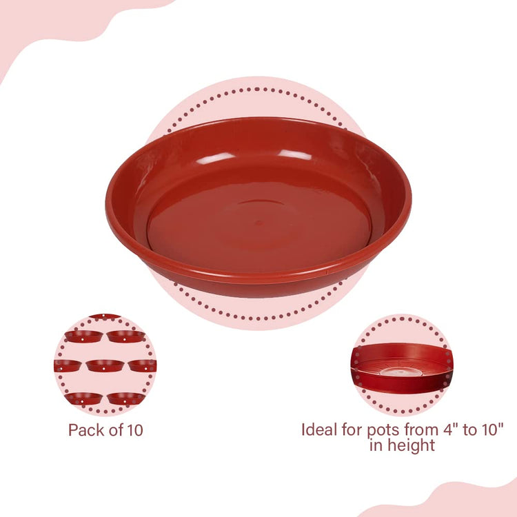 Round Bottom Tray 6"- Red