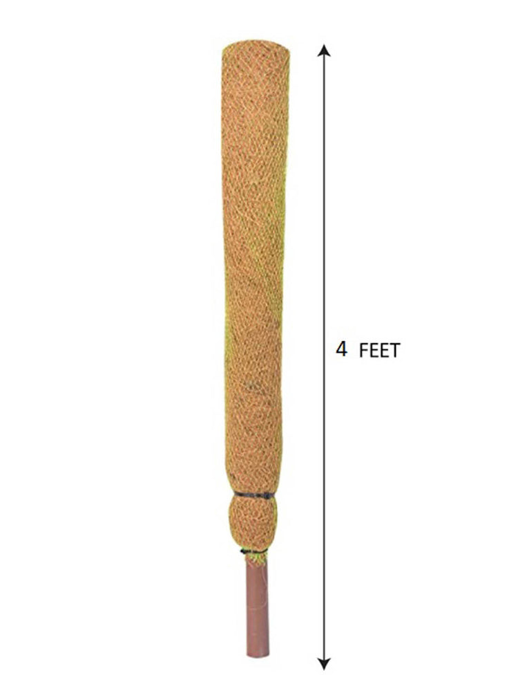 Coco Pole