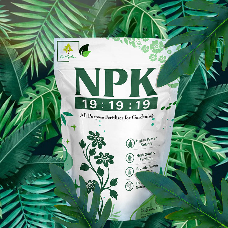 NPK Fertilizer 19 19 19