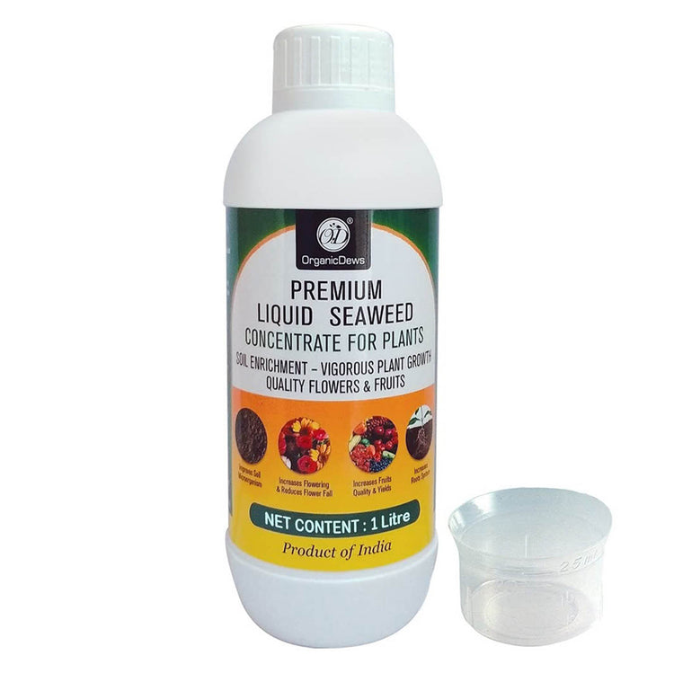 Liquid Seaweed Concentrate