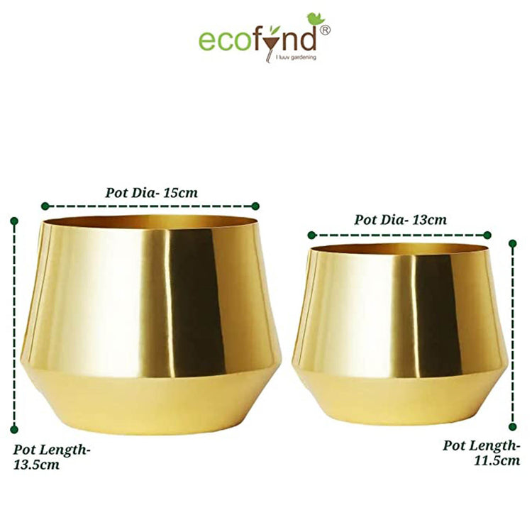 Alice Gold Iron Planter