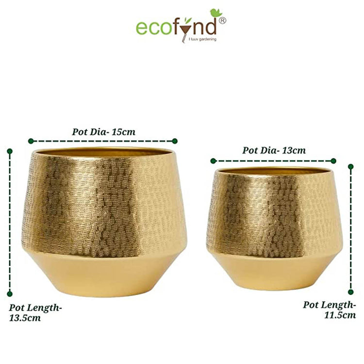 Eion Gold Iron Planter