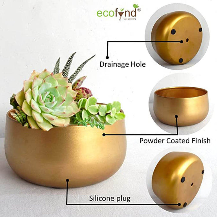 Zoe Gold Iron Planter
