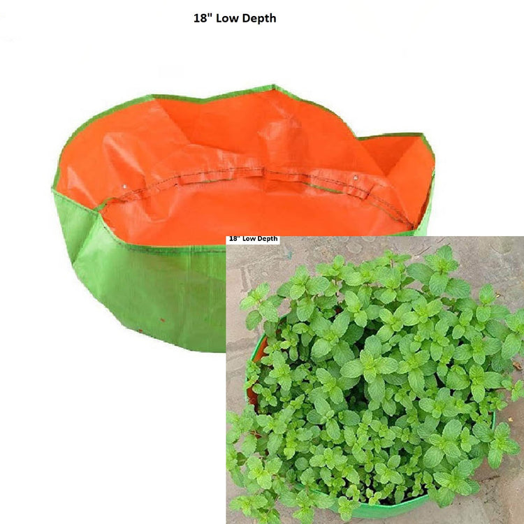 Terrace Gardening Grow Bag
