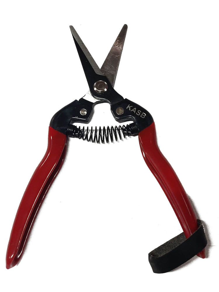 Fruit Pruner