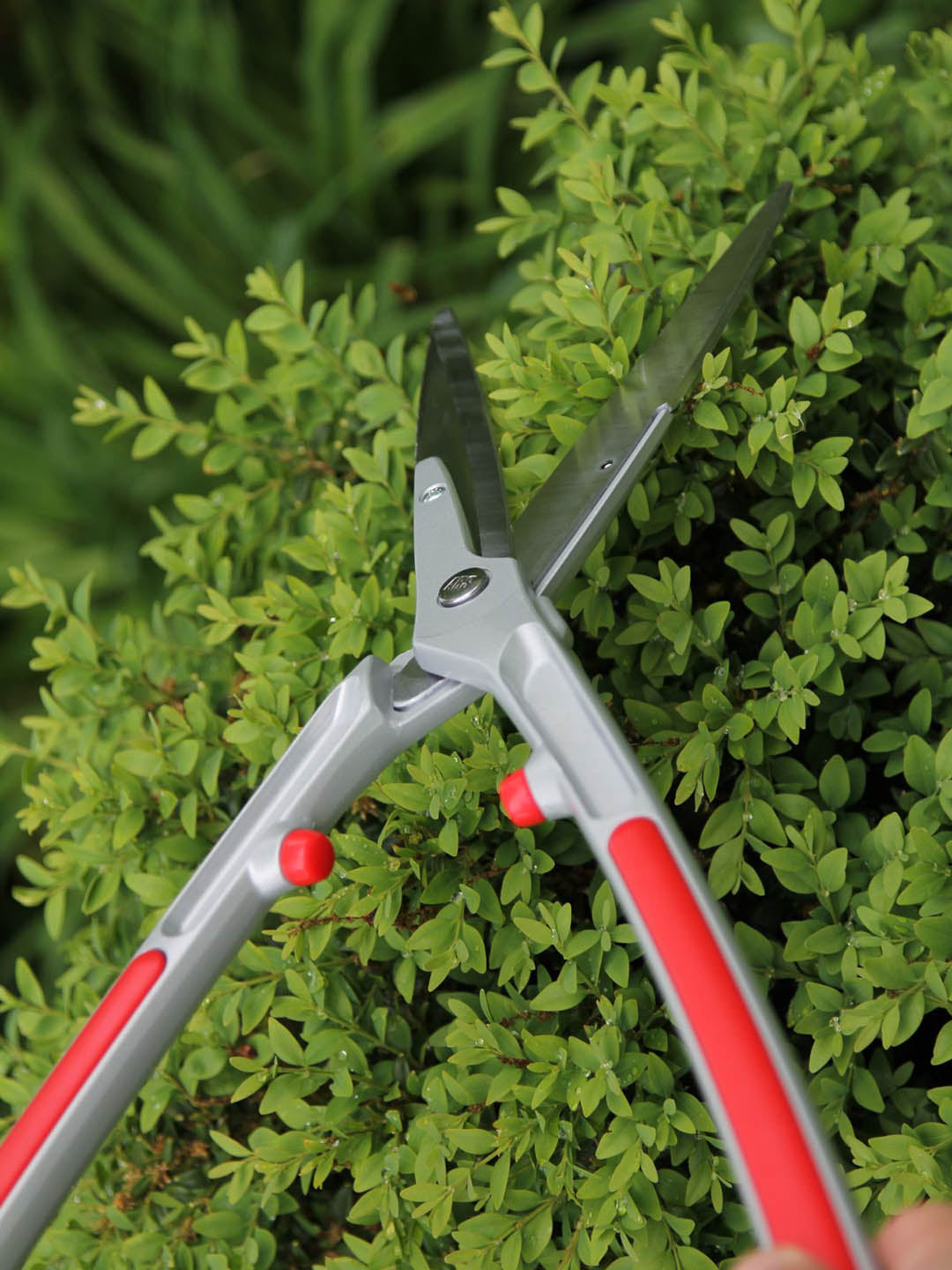 High Carbon Steel with Flurocarbon Coating ARS Hedge Shears Red (Handle) color