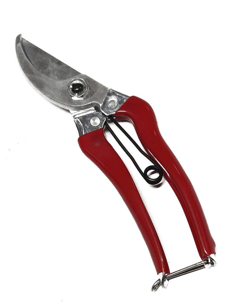 Semi Professional Secateur