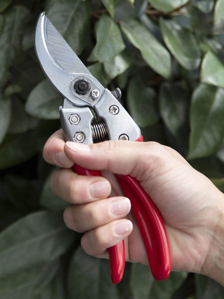 ARS Professional Heavy Duty Secateur