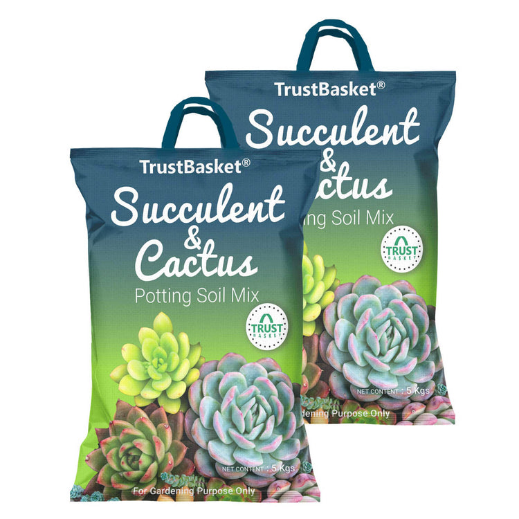 Succulent and Cactus Potting Mix