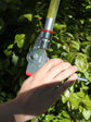 ARS 180ZF-3.0-5 Long Reach Pruners