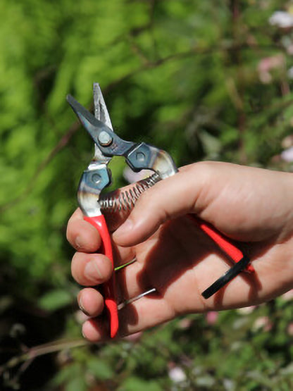 ARS 310 Harvesting Pruner - 160 mm