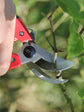 ARS CB9 Pruning Shears 225 mm