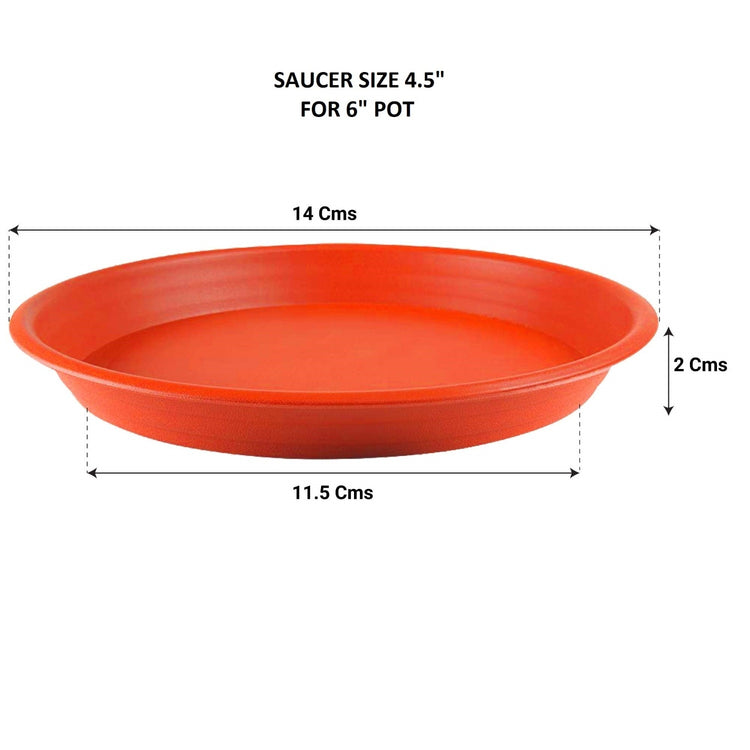 Round Bottom Tray - Terracotta