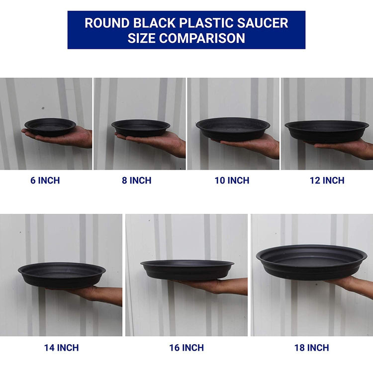 Round Bottom Tray - Black