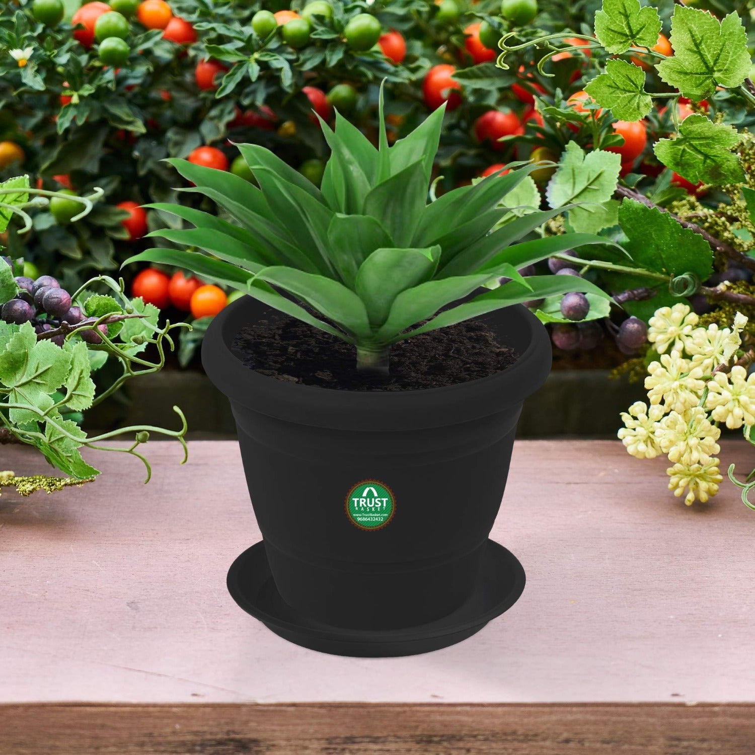 Round Bottom Tray - Black