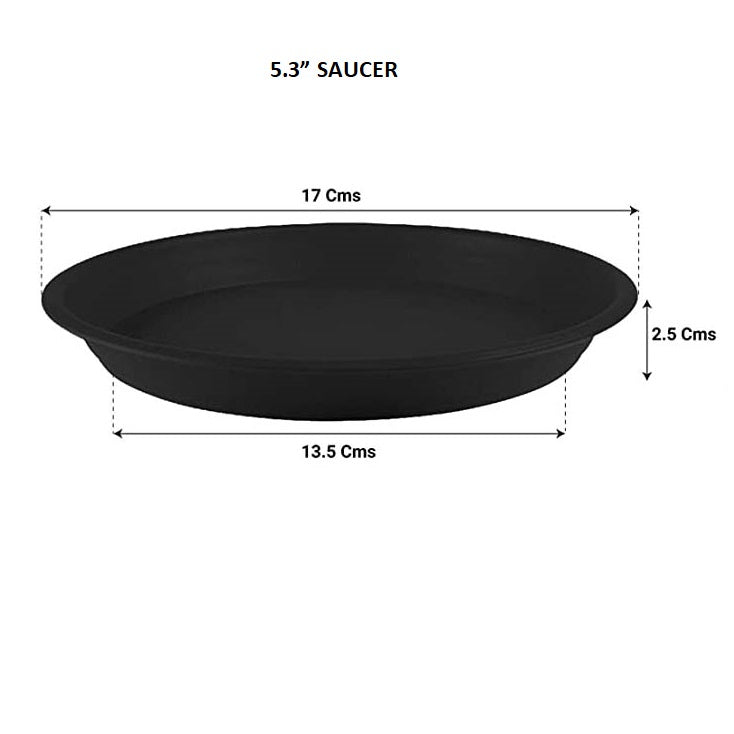 Round Bottom Tray - Black