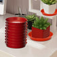 Round Bottom Tray 6"- Red