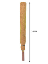 Coco Pole