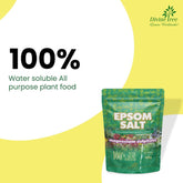 Epsom Salt