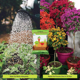 Organic Growth Booster