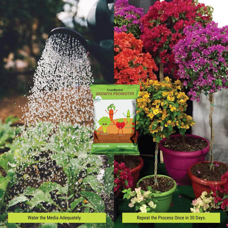 Organic Growth Booster