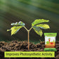 Organic Growth Booster