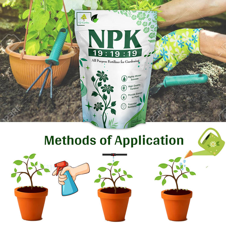 NPK Fertilizer 19 19 19