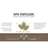 NPK Fertilizer 19 19 19