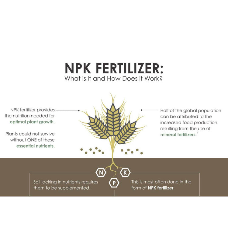 NPK Fertilizer 19 19 19