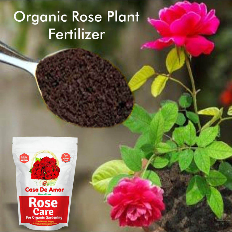 Rose Fertlizer