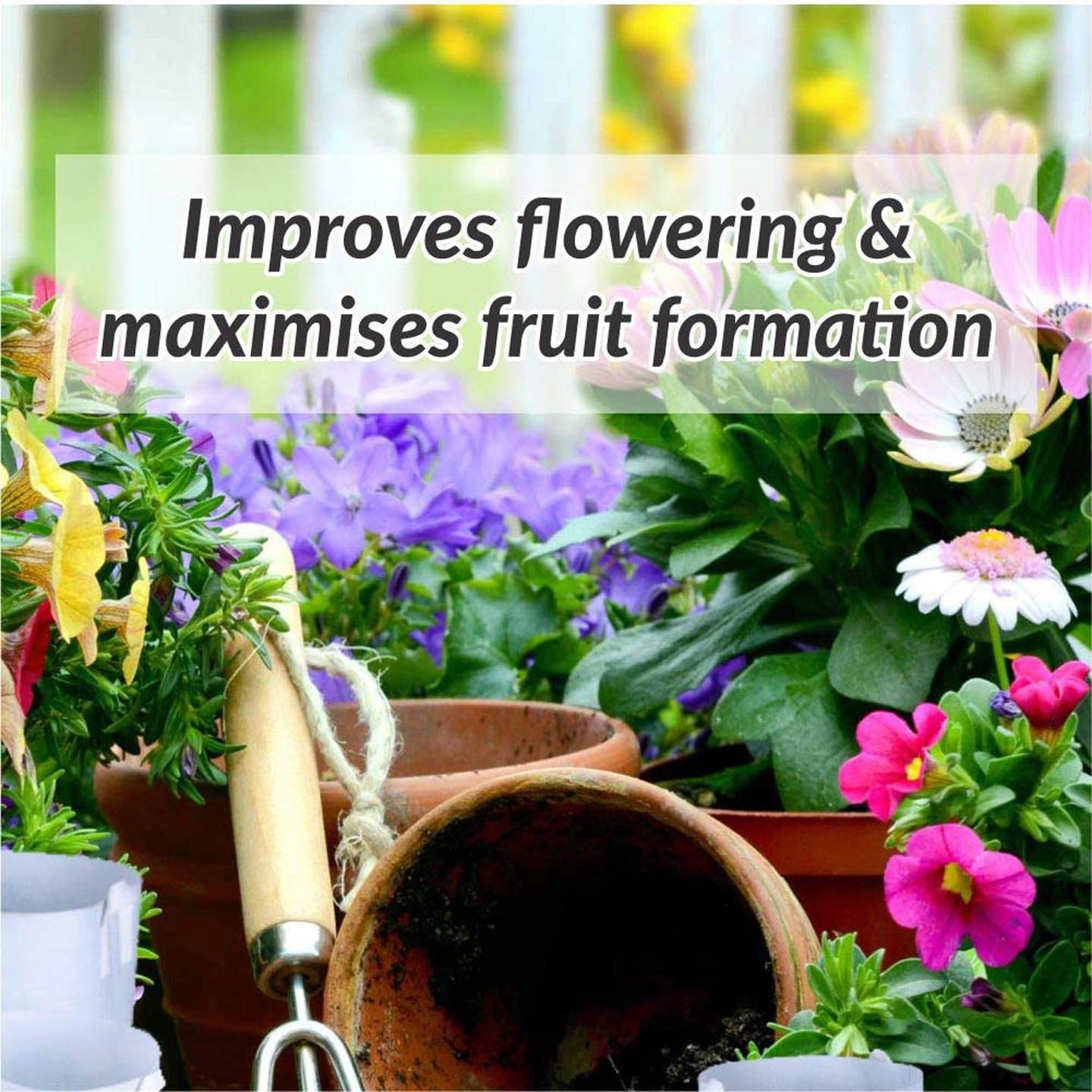 Organic Potash Fertilizer