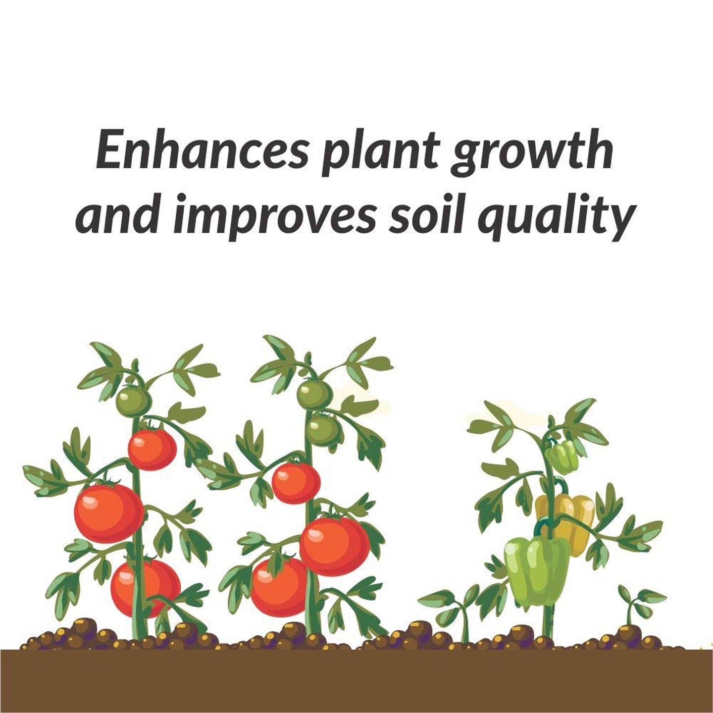 Organic Potash Fertilizer