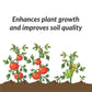 Organic Potash Fertilizer
