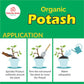 Organic Potash Fertilizer