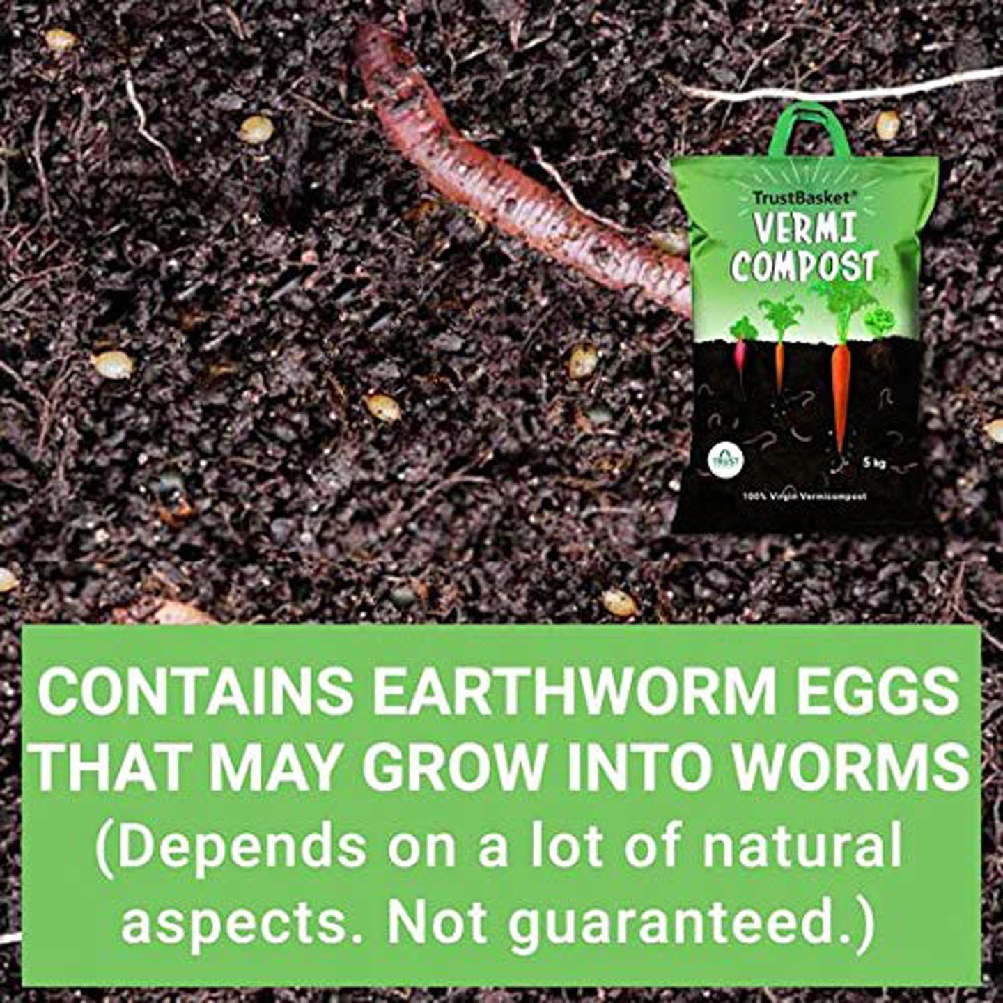 Vermi Compost