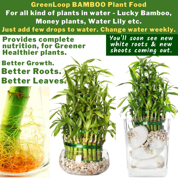 Aquatic Plant Fertizer