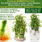 Aquatic Plant Fertizer