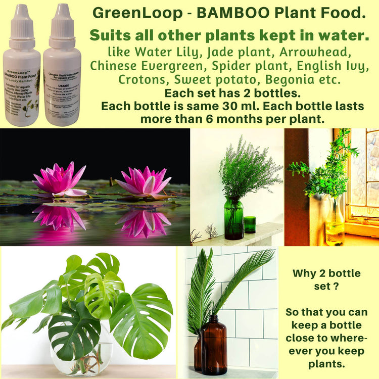 Aquatic Plant Fertizer
