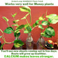 Aquatic Plant Fertizer