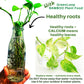 Aquatic Plant Fertizer