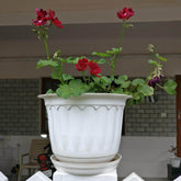 Jasmine Pot with Bottom Tray 10 "