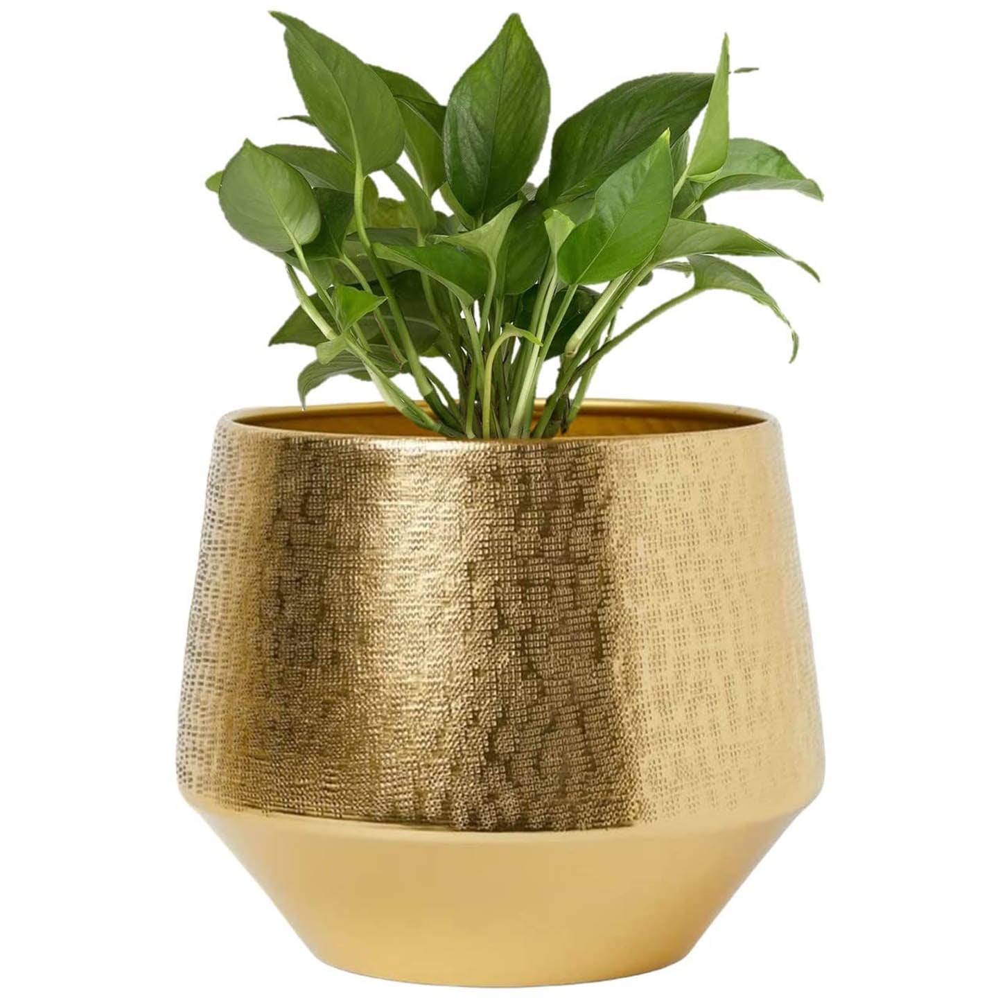 Iron Eion Gold Iron Planter Gold color 