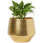 Iron Eion Gold Iron Planter Gold color 