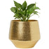 Iron Eion Gold Iron Planter Gold color 