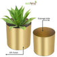 Grace Gold Iron Planter