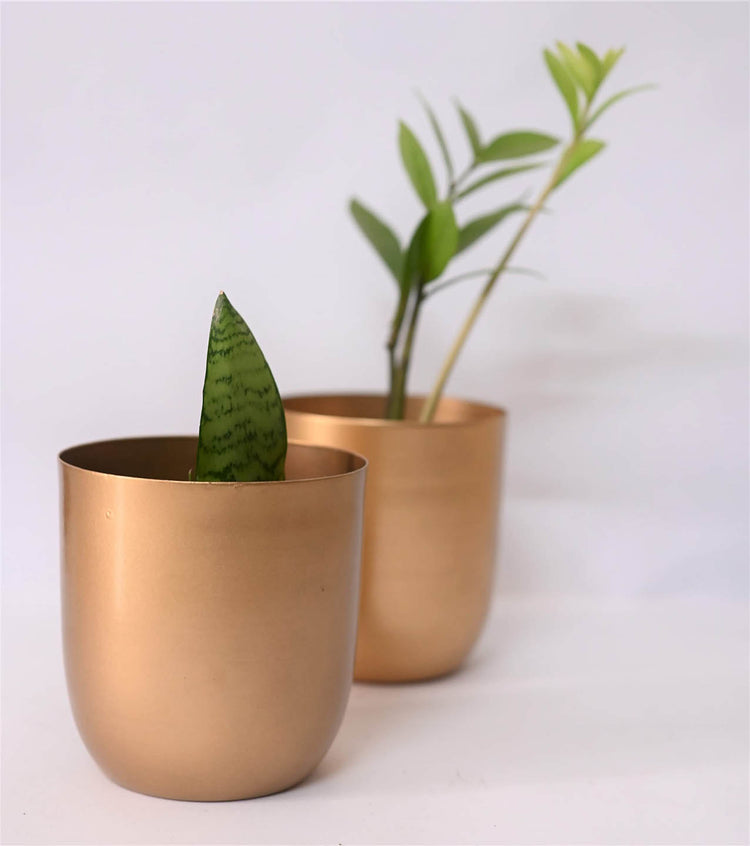 Iron Macrame Gold Iron Planter Gold color 