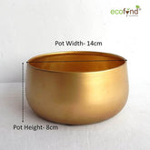 Zoe Gold Iron Planter