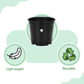 Standard Garden Pot 6" - Black