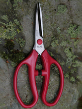 ARS Flower Arrangement Scissor