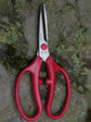 ARS Flower Arrangement Scissor